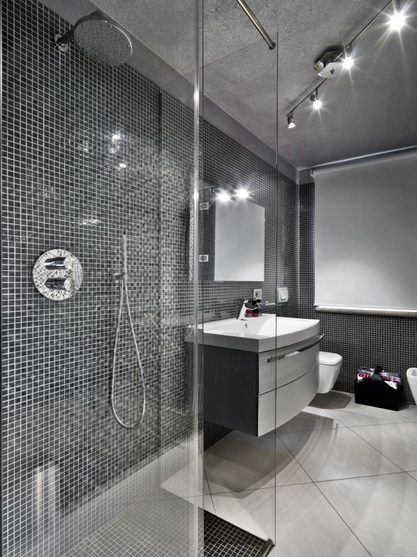 Upscale Shower Area